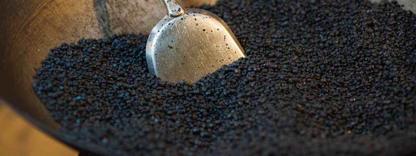 black seed is a cure for every illness
