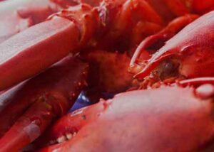crab lobster Halal Hanafi