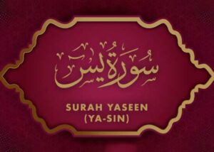 Recite Surah Yaseen grave