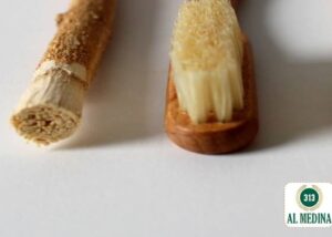 using miswak whilst fasting hadith
