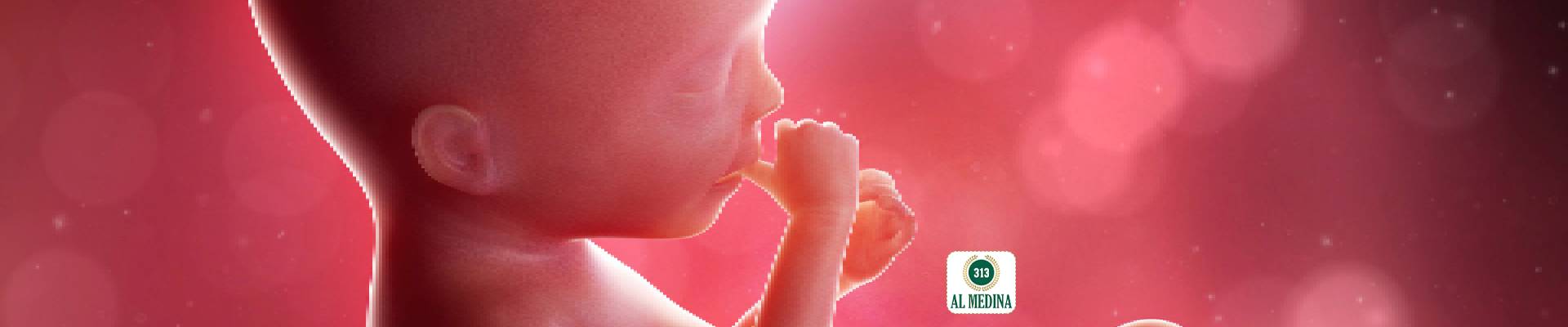 Is abortion permitted in Islam? What is the ruling?