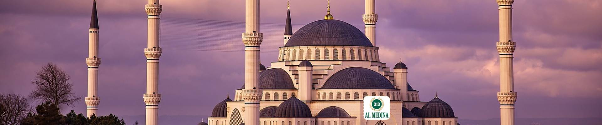 Can non-Muslims enter a Masjid (Mosque)?