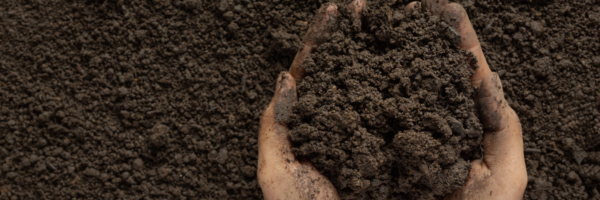 Is it necessary to make Takfir of deceased scholars?